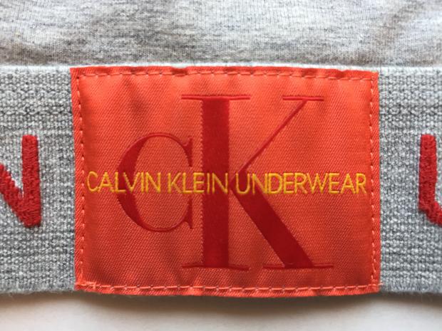 Спортивний комплект Calvin Klein Monogram сірий Топ-ліф стрінги фото 4
