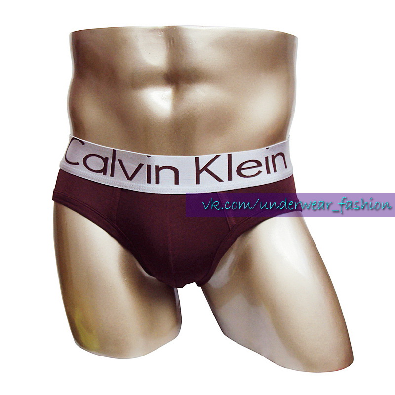 Чоловічі труси брифи Calvin Klein Brief Steel Brown фото 2