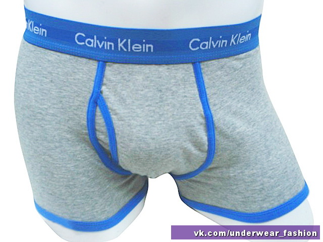 Чоловічі боксери Calvin Klein 365 Сірий синій кант фото 2