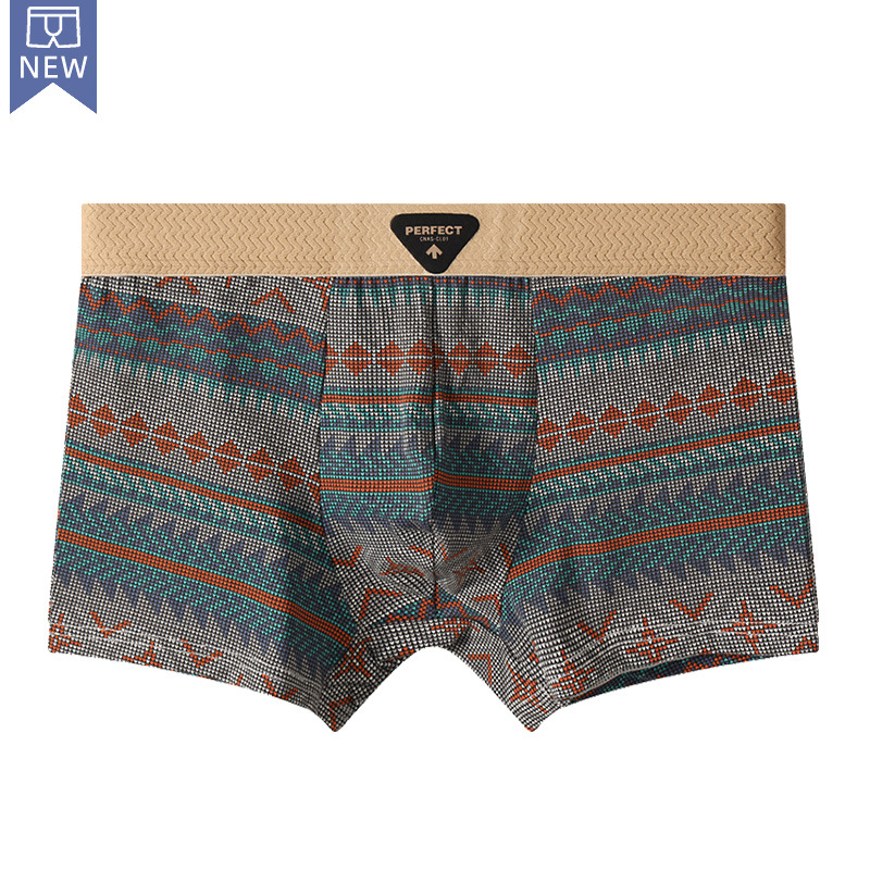 Чоловічі труси боксери PH Орнамент green  фото 1